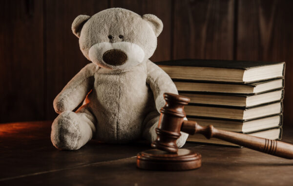 What Are the Chances of Winning a Child Custody Appeal?